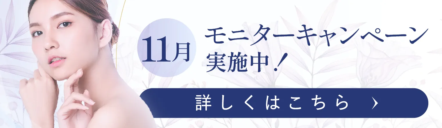 11月モニターキャンペーン実施中！